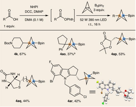 Table2.原位活化羧酸合成BCP-Bpin（图片来源：Nat. Chem.）