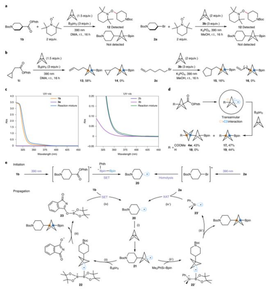 Fig. 4反应机理研究（图片来源：Nat. Chem.）